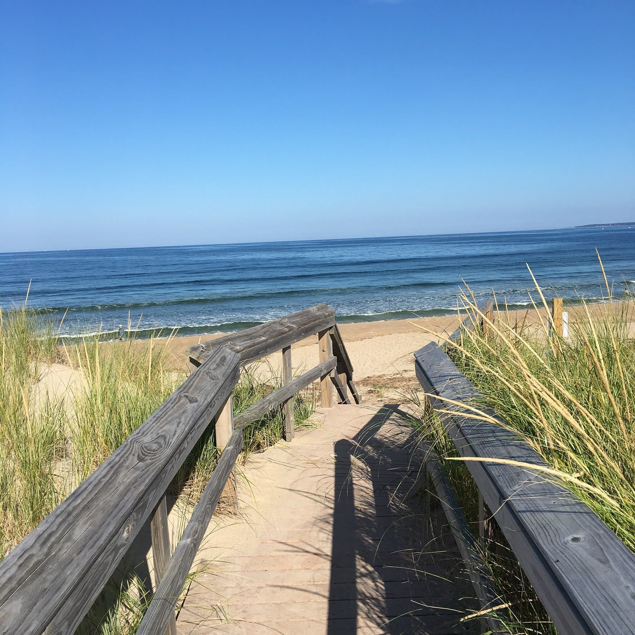Plum island beach